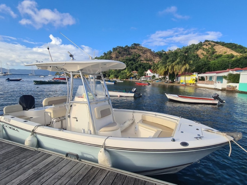 Location de bateau à moteur seul Cobia 217cc - 2013 Guadeloupe