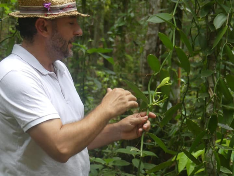 Immersion dans la plantation de vanille de Cédric Coutelier