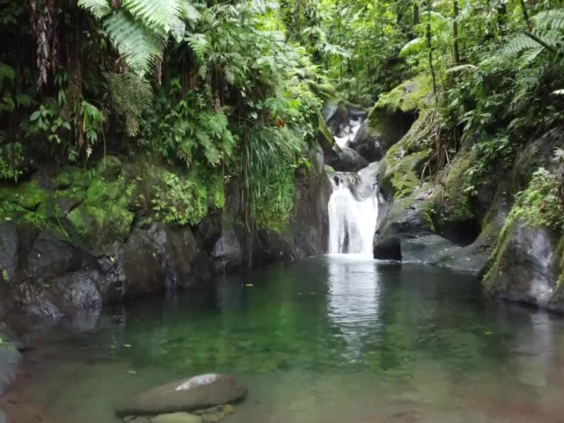 Randonnée au choix en Guadeloupe avec un guide expert