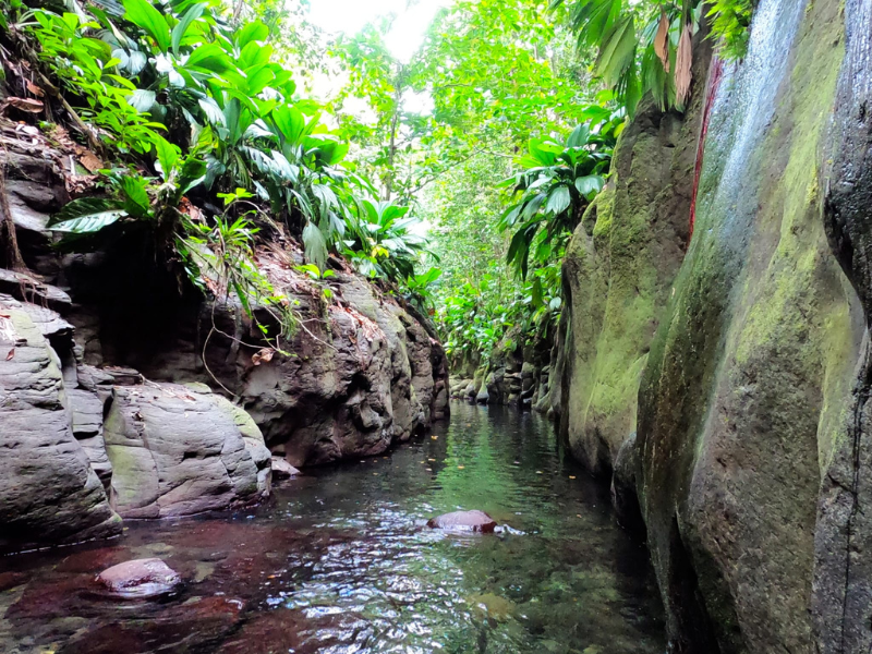 Randonnée canyon moustique