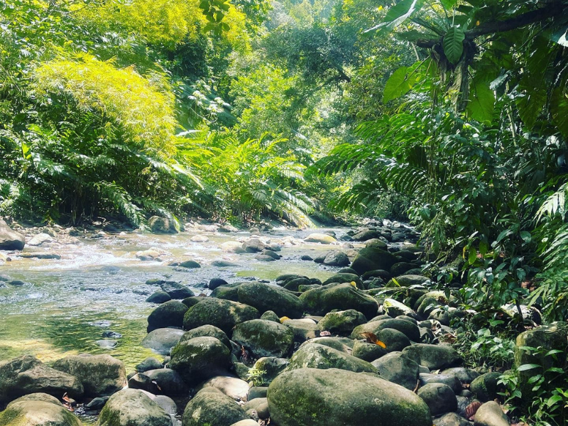 Randonnée canyon moustique