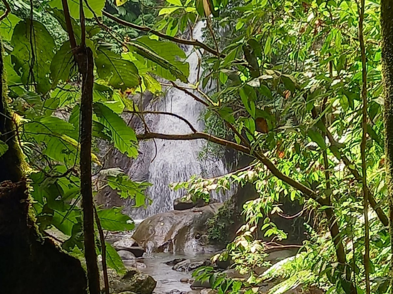 Randonnée Cascade concession Guadeloupe