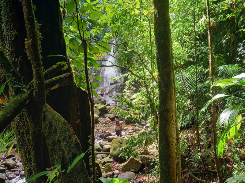 Randonnée Cascade concession Guadeloupe