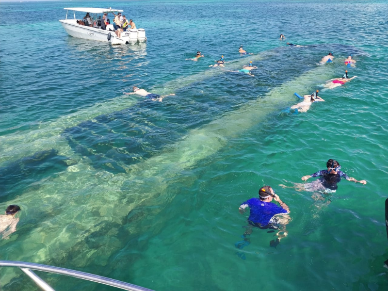 Excursion dans le grand cul de-sac marin en catamaran