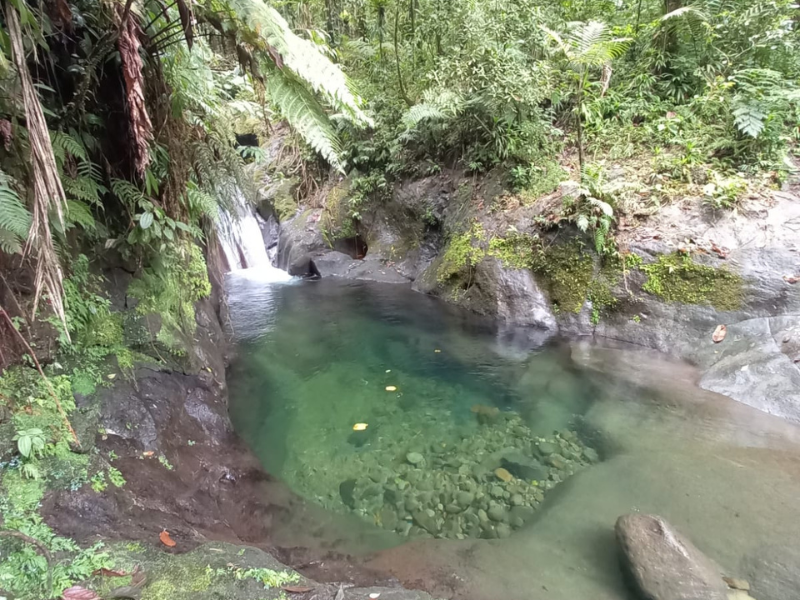 Randonnée Cascade concession Guadeloupe