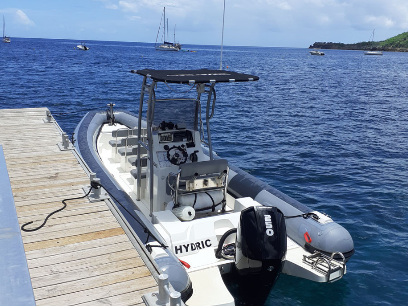 Observation de baleines & dauphins en Guadeloupe