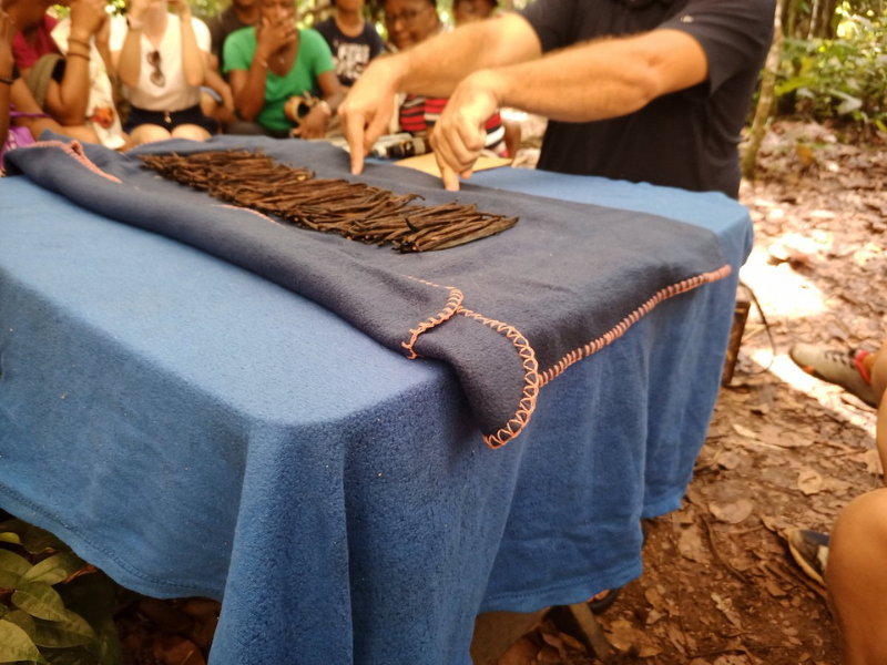 Visite de la Vanilleraie de Cedric Coutelier en Guadeloupe