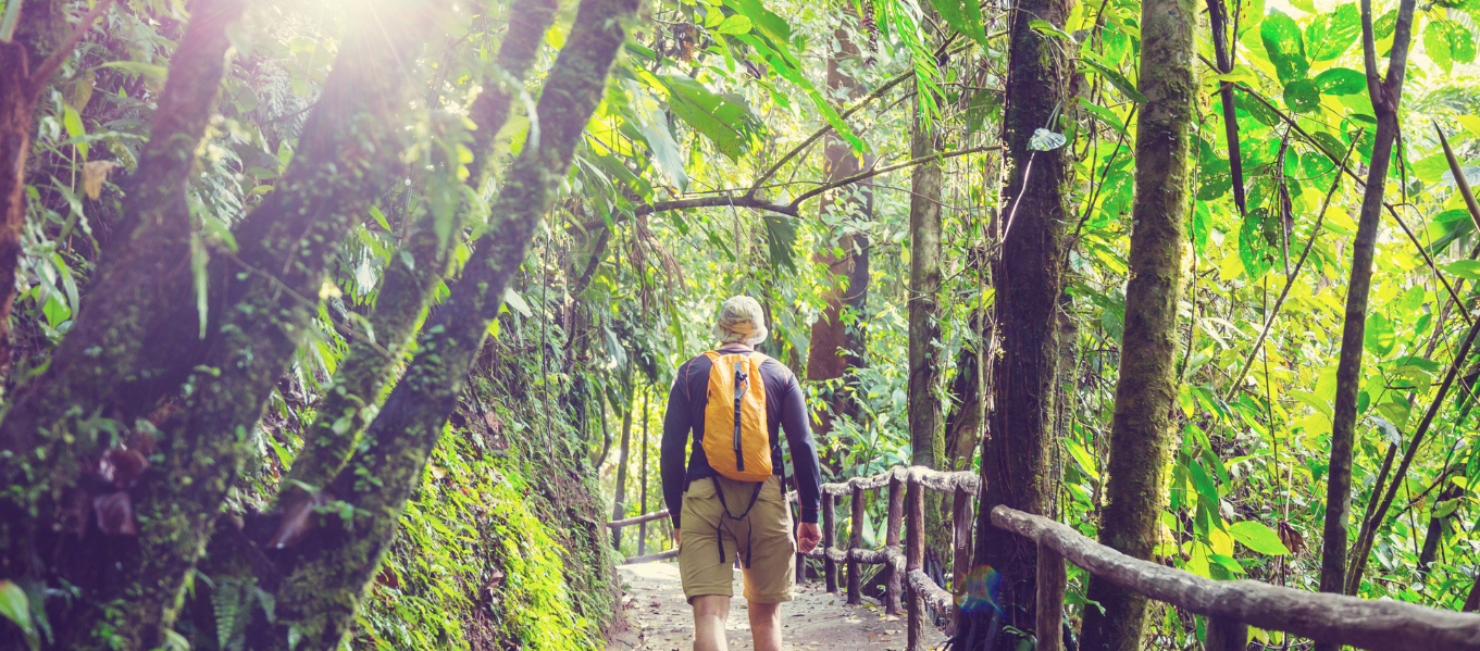 Randonnée guidée en Guadeloupe