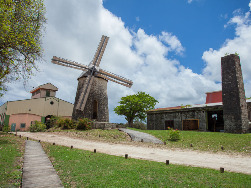 Visite guidée de marie-galante, distillerie bielle