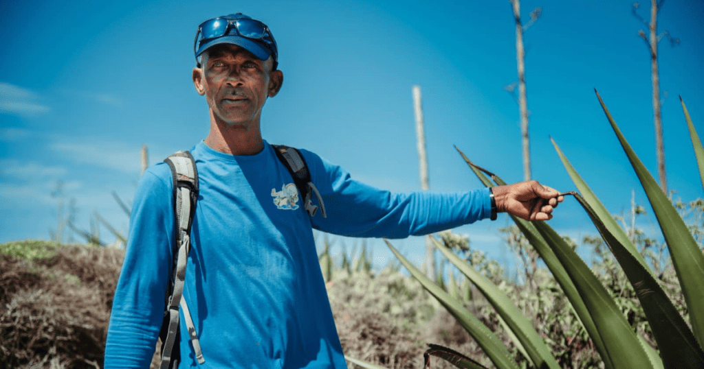 visiter Petite Terre en Guadeloupe