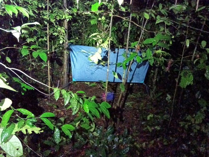 Bivouac en Guadeloupe - Forêt de Guadeloupe