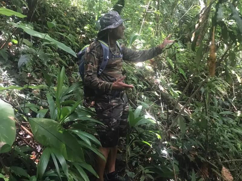 2 jours de bivouac dans la forêt tropical de Guadeloupe