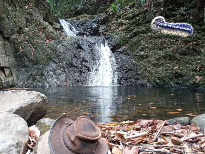 Bivouac en Guadeloupe - Forêt de Guadeloupe