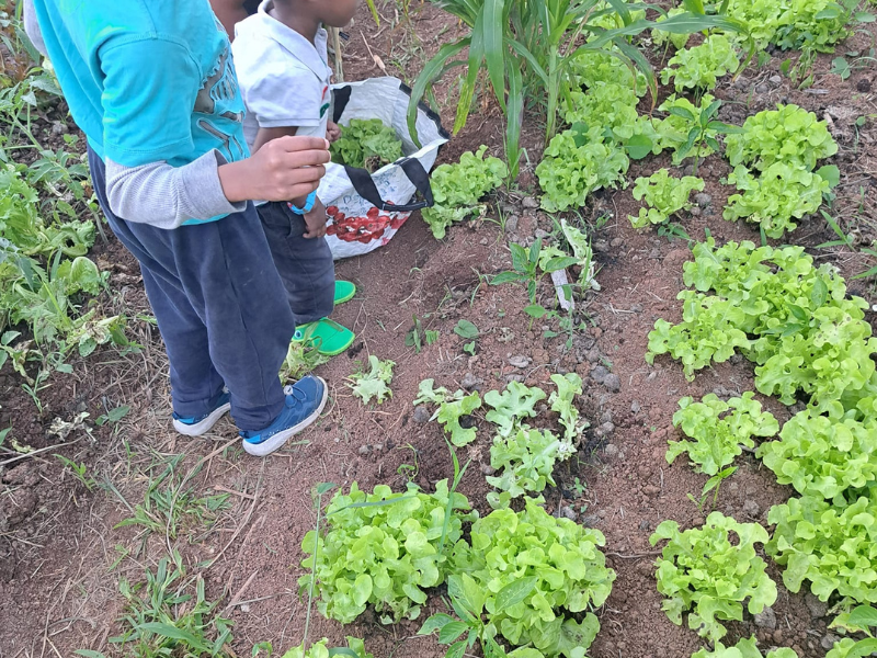 Atelier sensoriel cuisine des produits locaux Guadeloupe