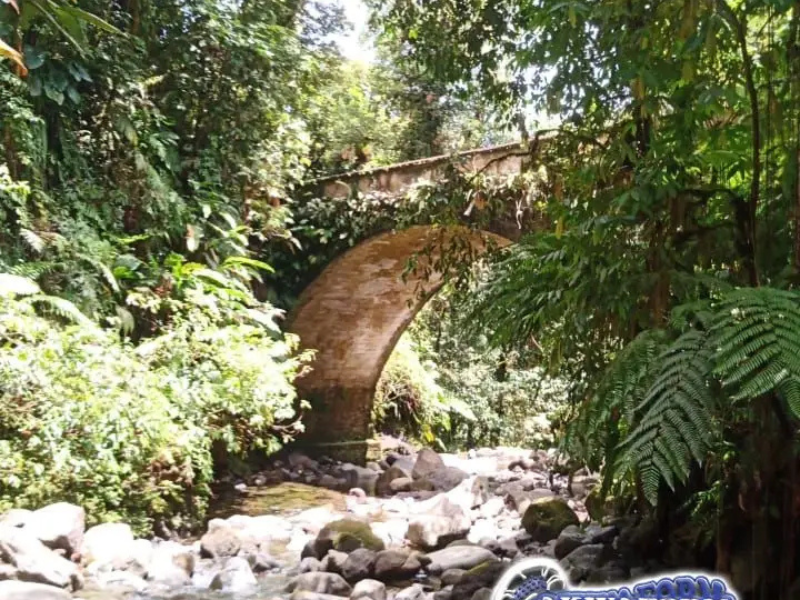 Bivouac en Guadeloupe - Forêt de Guadeloupe