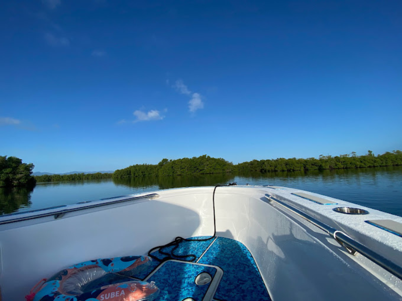 Demi-journée en bateau dans le Grand Cul-de-sac marin