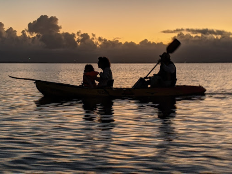 Randonnée guidée en kayak dans la mangrove de Morne-à-l’eau