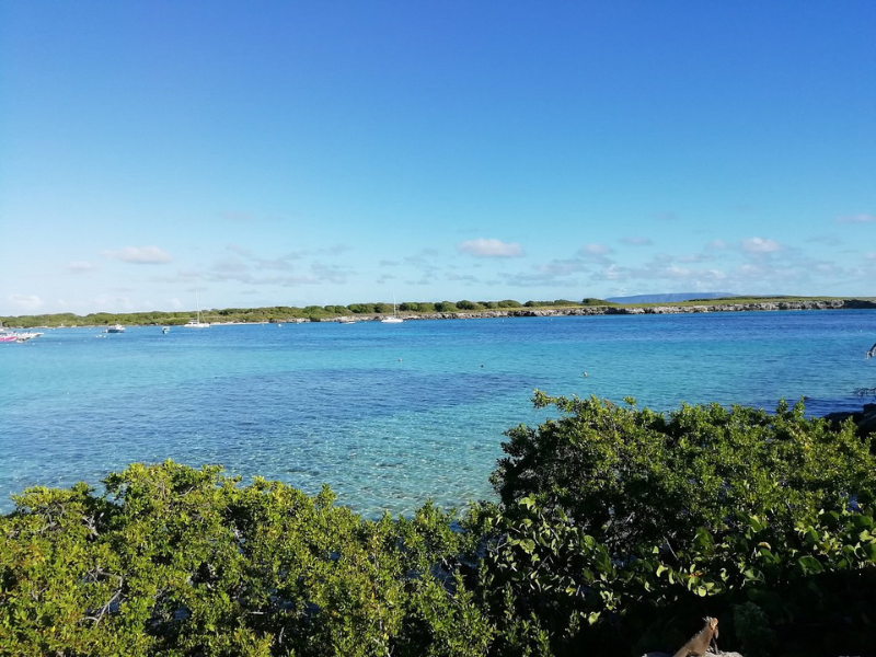 Excursion Demi journée à Petite Terre en Guadeloupe