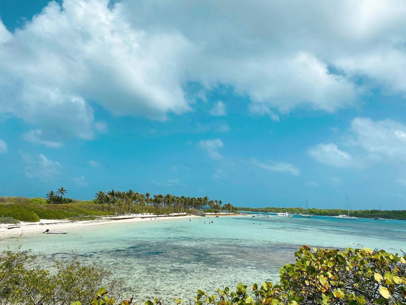 Excursion Demi journée à Petite Terre en Guadeloupe